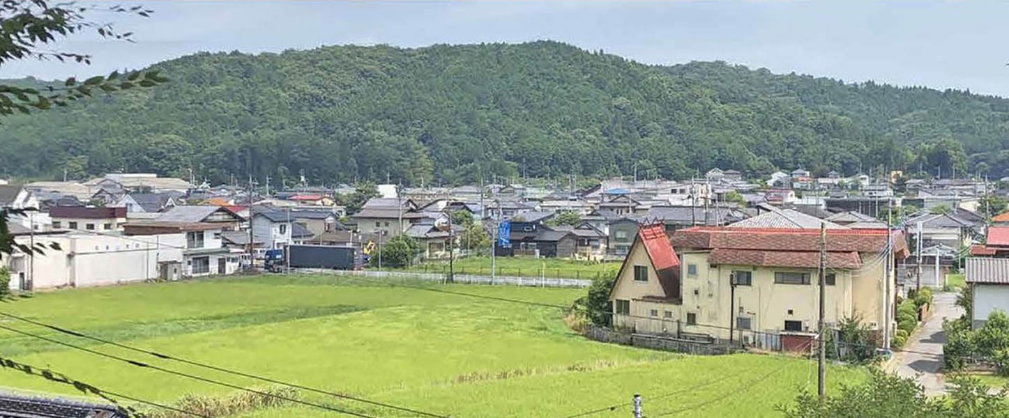 境内からの展望